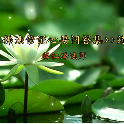 佛法修证心要问答集-仁义恩泽 佛法修证心要问答集-仁义恩泽