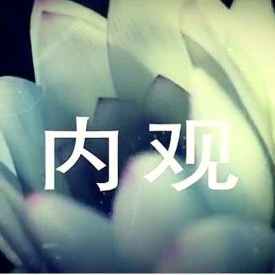 内观-仁义恩泽 内观-仁义恩泽