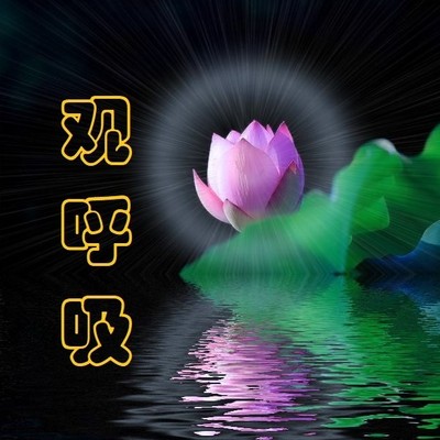 观呼吸-仁义恩泽 观呼吸-仁义恩泽