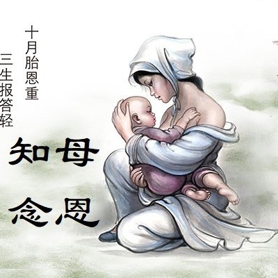知母念恩 知母念恩