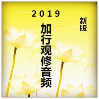 2019加行观修音频