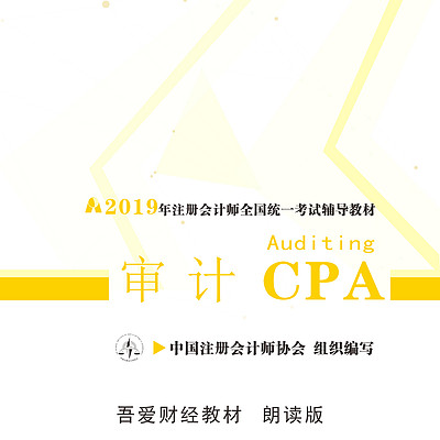 注册会计师--审计--朗读版 注册会计师--审计--朗读版