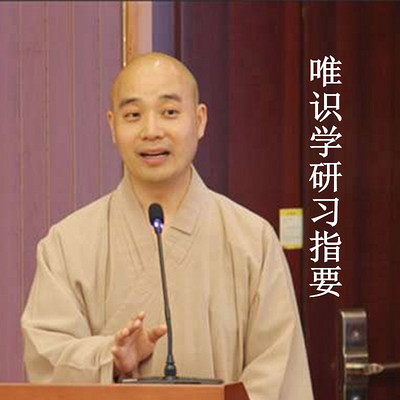 《唯识学研习指要》宗性法师 《唯识学研习指要》宗性法师