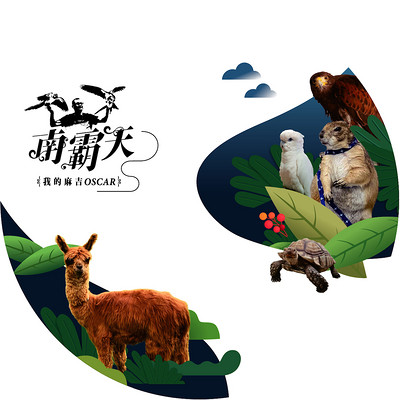 南霸天:我的麻吉 OSCAR 南霸天:我的麻吉 OSCAR