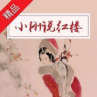 小刚说红楼