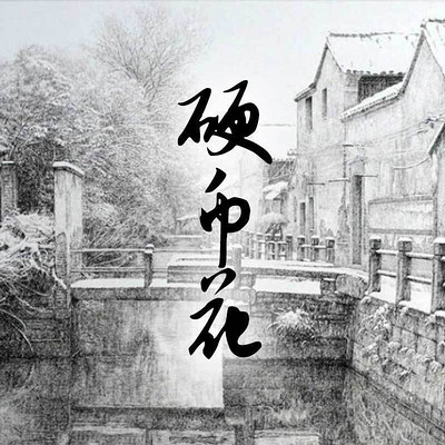 硬币花 硬币花