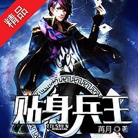 贴身兵王