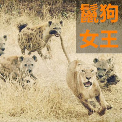 鬣狗女王(2)家族危机