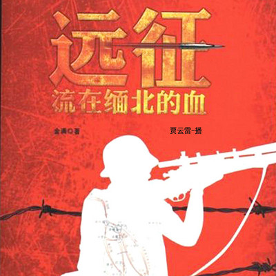 远征:流在缅北的血 远征:流在缅北的血