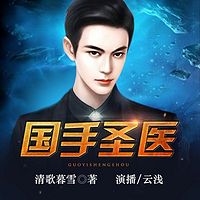 国手圣医