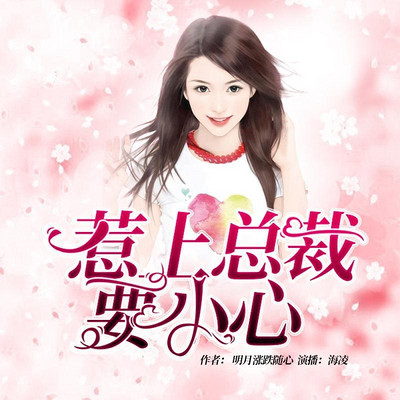 惹上总裁要小心 惹上总裁要小心