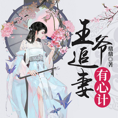 王爷追妻有心计 王爷追妻有心计