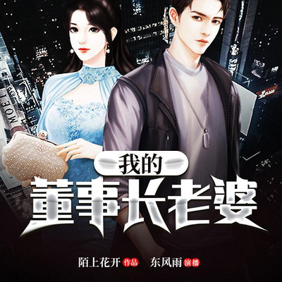 我的董事长老婆 我的董事长老婆