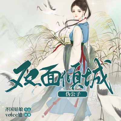 双面倾城伪公子 双面倾城伪公子