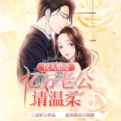 误入婚途:亿万老公请温柔 误入婚途:亿万老公请温柔