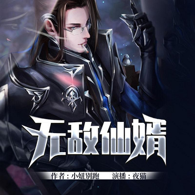 无敌仙婿 无敌仙婿