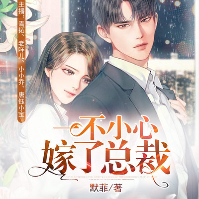 一不小心嫁了总裁 一不小心嫁了总裁