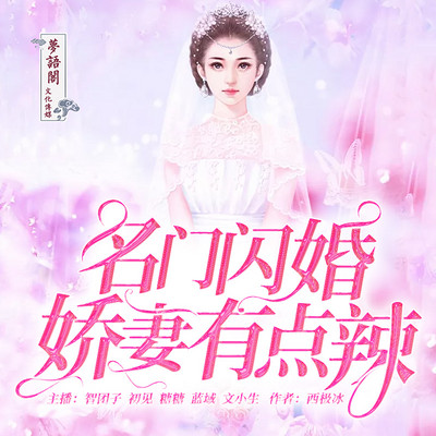名门闪婚:娇妻有点辣 名门闪婚:娇妻有点辣