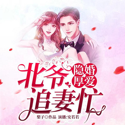隐婚厚爱:北爷追妻忙 隐婚厚爱:北爷追妻忙