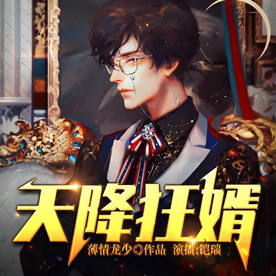 天降狂婿 天降狂婿