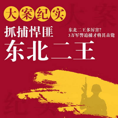 抓捕悍匪东北二王 抓捕悍匪东北二王